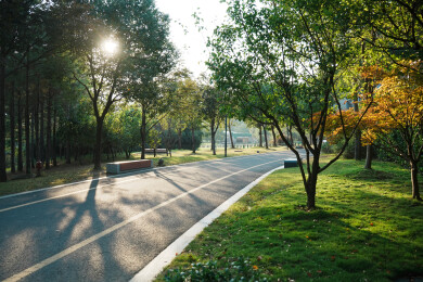上方山森林动物世界道路