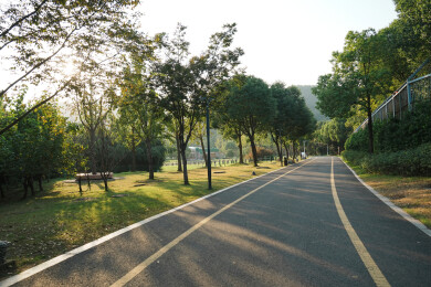 上方山森林动物世界道路