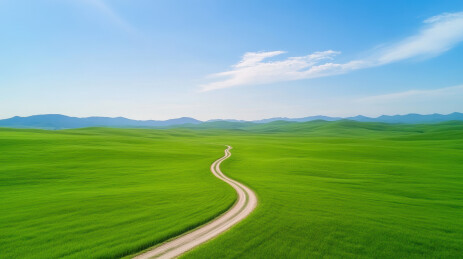 绿色原野乡间小路