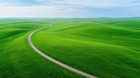绿色原野乡间小路