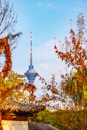 浓郁秋色映衬下的天津市广播电视塔