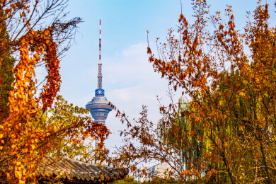 浓郁秋色映衬下的天津市广播电视塔