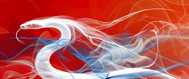 新年蛇年抽象概念白蛇插画