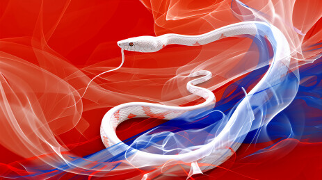 新年蛇年抽象概念白蛇插画