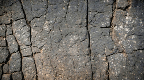  烧焦的木头纹理主题