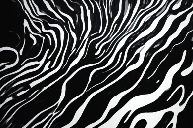 抽象黑白波纹图案主题