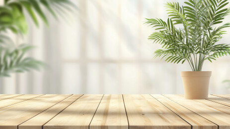 白天室内木质桌子植物背景
