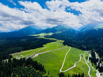 夏天中国新疆库尔德宁草原航拍