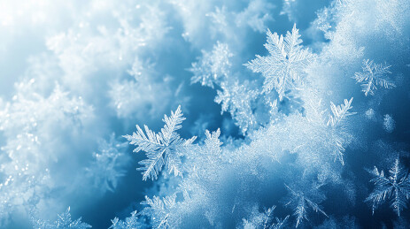 冬季积雪上的微距雪花特写