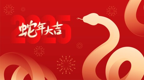 蛇年新年春节插画