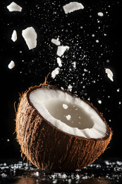 黑底高清椰肉飞溅图