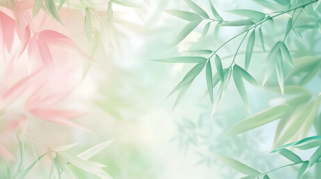 小清新竹子背景
