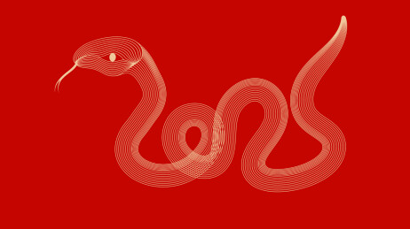 红色喜庆蛇年矢量插画背景