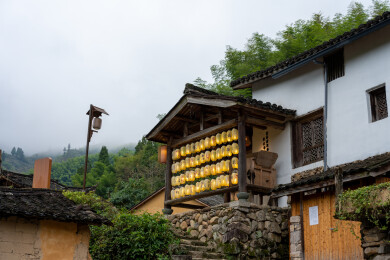 浙江丽水云和梯田白银谷景区