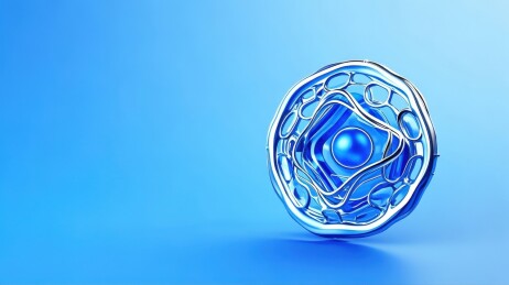 细胞结构三维模型