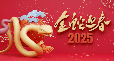 中国春节蛇年春晚舞台庆祝海报3D设计