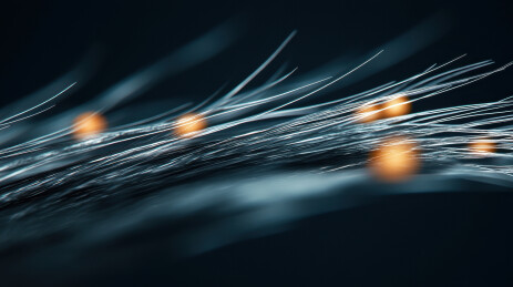 神经元信号传递