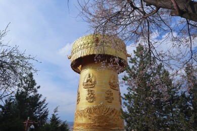 大佛寺转经筒遇见桃花