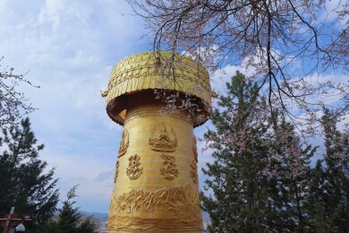 大佛寺转经筒遇见桃花