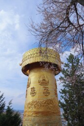 大佛寺转经筒遇见桃花