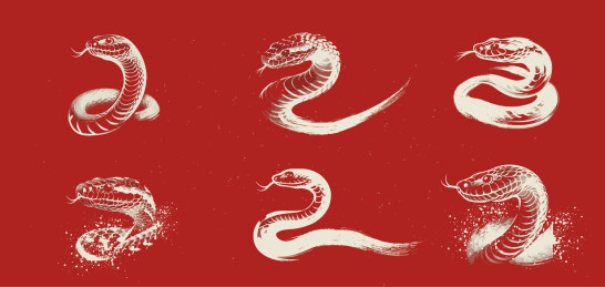 传统的中国蛇年插图矢量2025年