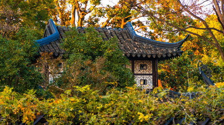 江苏苏州留园秋日红枫银杏