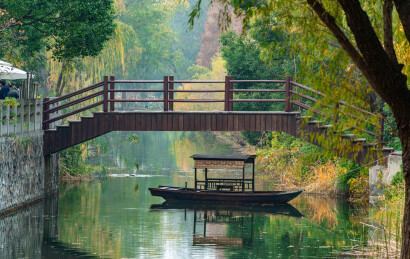 江苏苏州虎丘湿地公园红杉林水杉林自然风光