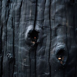 焦黑的木头纹理