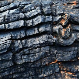 焦黑的木头纹理