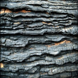 焦黑的木头纹理