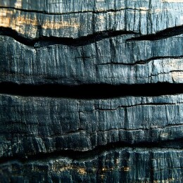 焦黑的木头纹理