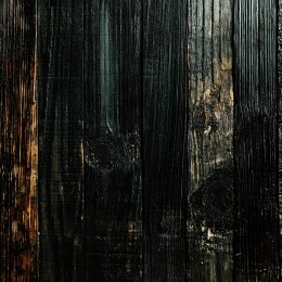 焦黑的木头纹理