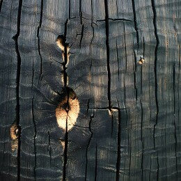 焦黑的木头纹理