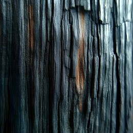 焦黑的木头纹理