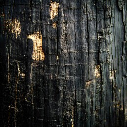 焦黑的木头纹理