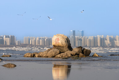 中国河北秦皇岛北戴河鸽子窝海鸥海滩