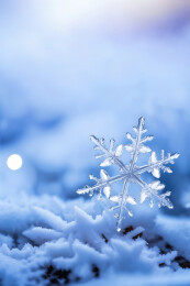 冬日雪花主题