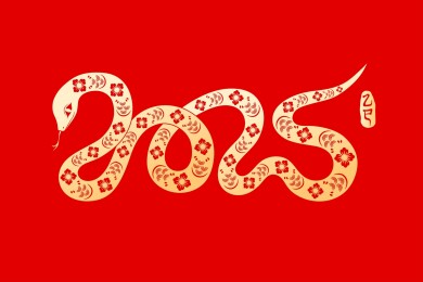 2025蛇形剪纸窗花