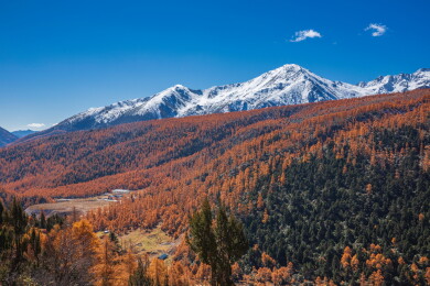 云南德钦蓝天白云雪山森林白马雪山风景