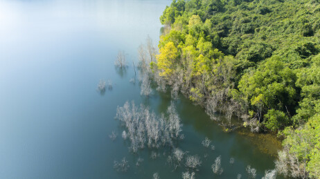 深圳梅林水库秋景