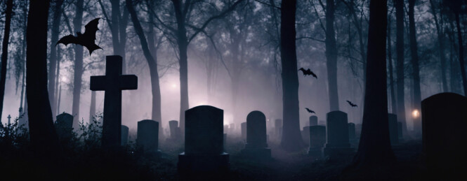 广州明年推外卖专用号牌，优化配送算法主题