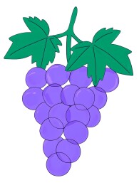 紫色葡萄水彩画
