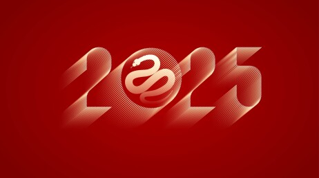 蛇年2025年数字