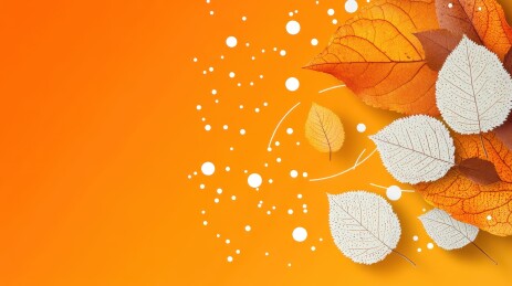 橙色背景秋季落叶唯美意境