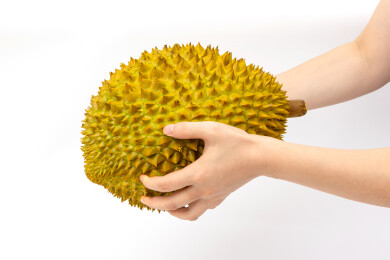 女人手拿着一个泰国金枕榴莲