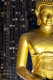 泰国曼谷城市夜色下的金佛与白塔
