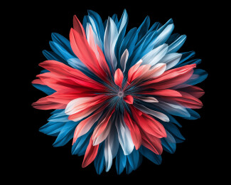 盛开的花朵抽象画面