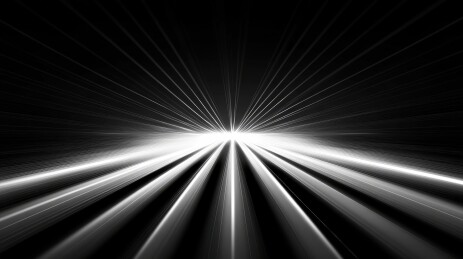 黑猫与蓝蝶的梦幻相遇