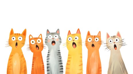 一群惊讶的猫