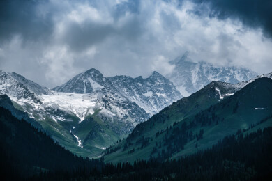 中国新疆伊犁库尔德宁草原雪山森林自然风光